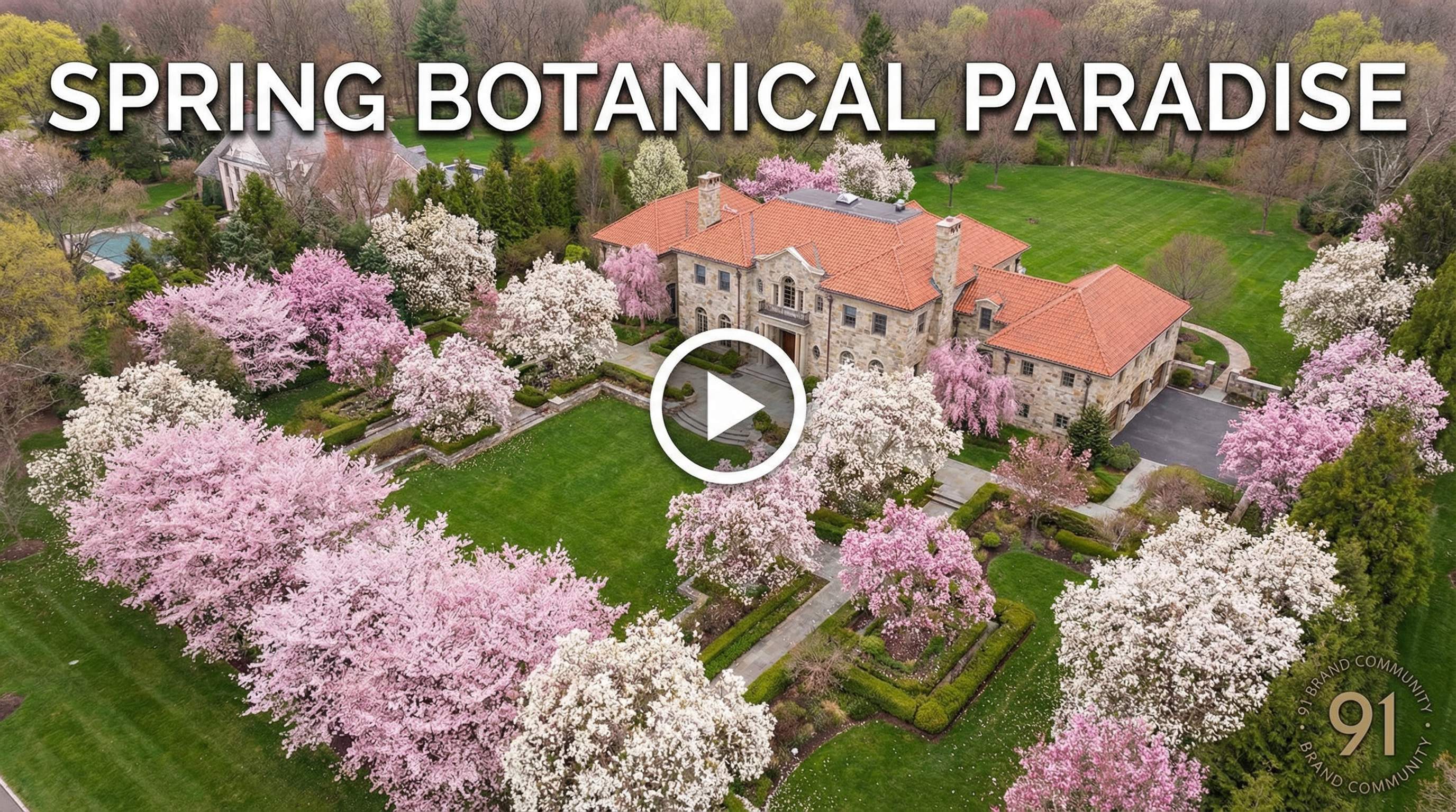 蜜桃传媒植物视频